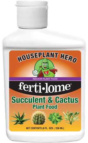 Succulent and Cactus Food 2-7-7