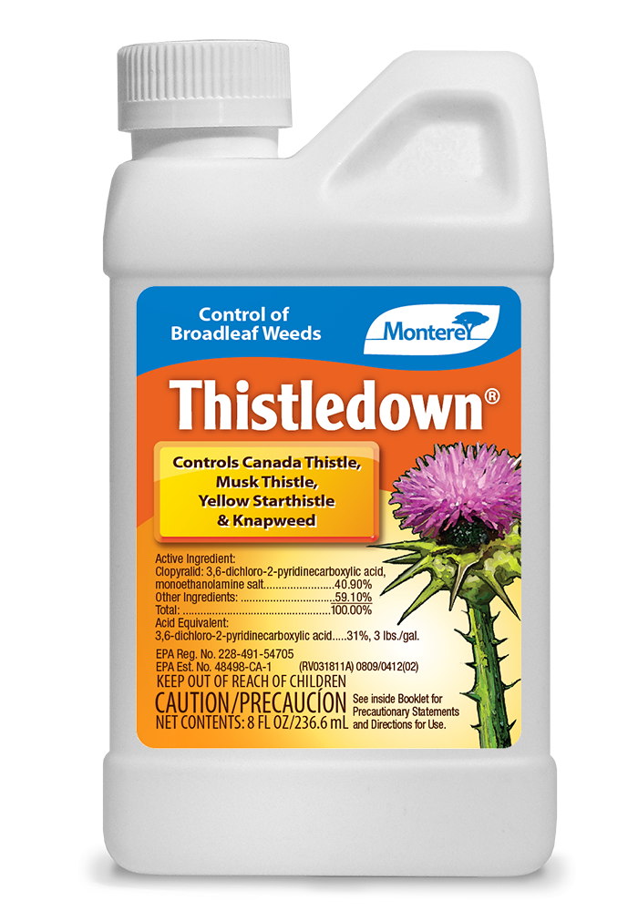 Thistledown