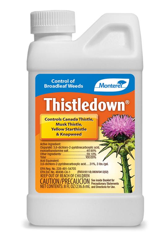 Thistledown