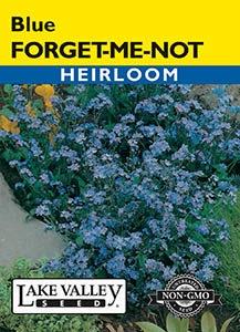 FORGET-ME-NOT BLUE   HEIRLOOM