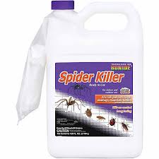 Spider Killer