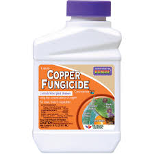 Bonide Copper Fungicide