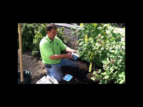 Pine Bark Soil Conditioner