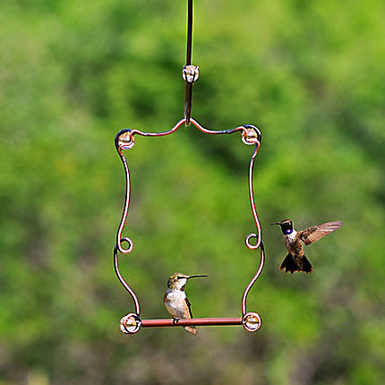 Perky Pet Beaded Hummingbird Swing