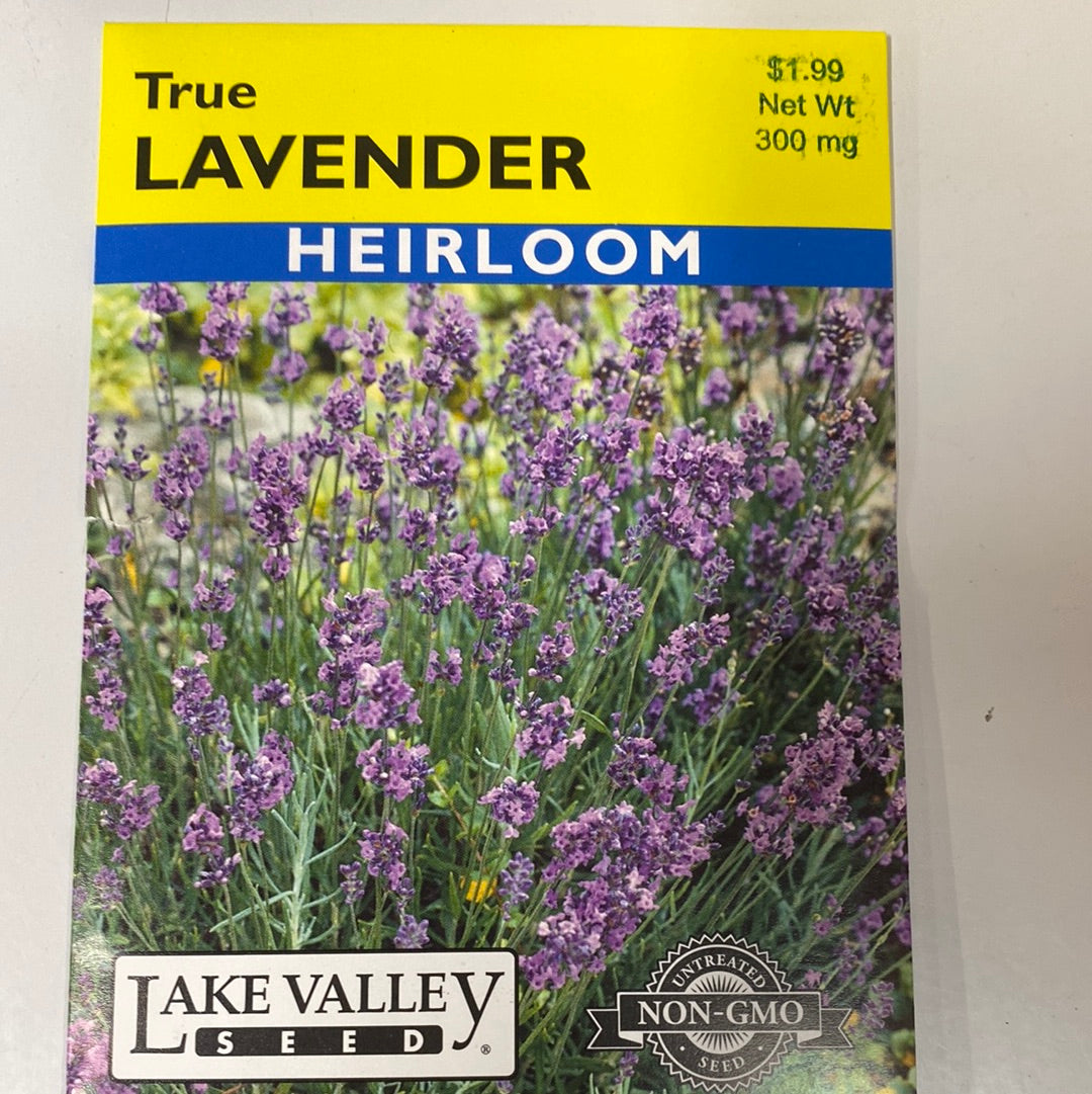 True Lavender Heirloom
