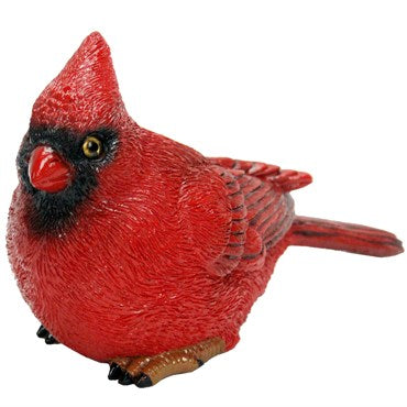 Small Cardinal