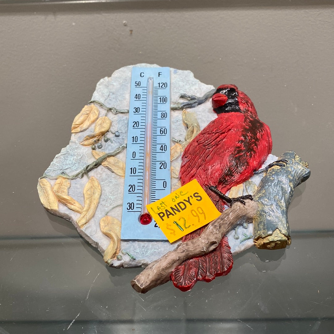 Cardinal Temperature Thermometer