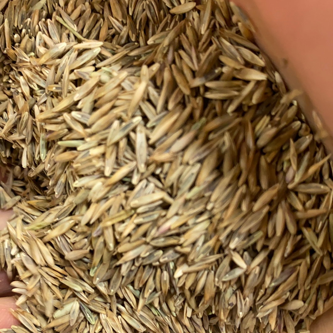 TLC Mix by the Pound