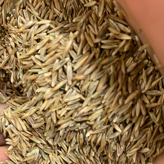 TLC Mix by the Pound