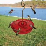 HUMMINGBIRD HAVEN HUMMINGBIRD FEEDER