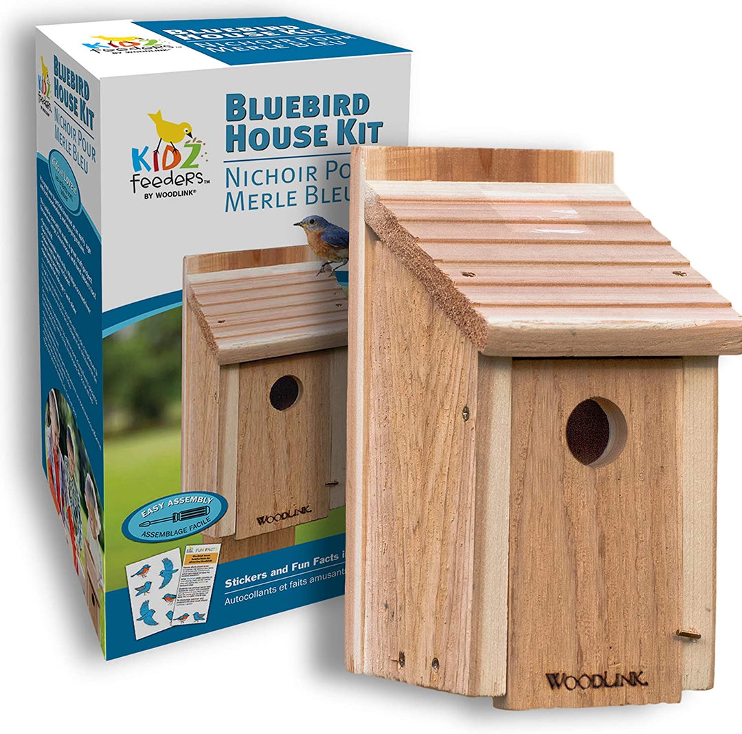 Bluebird House kit