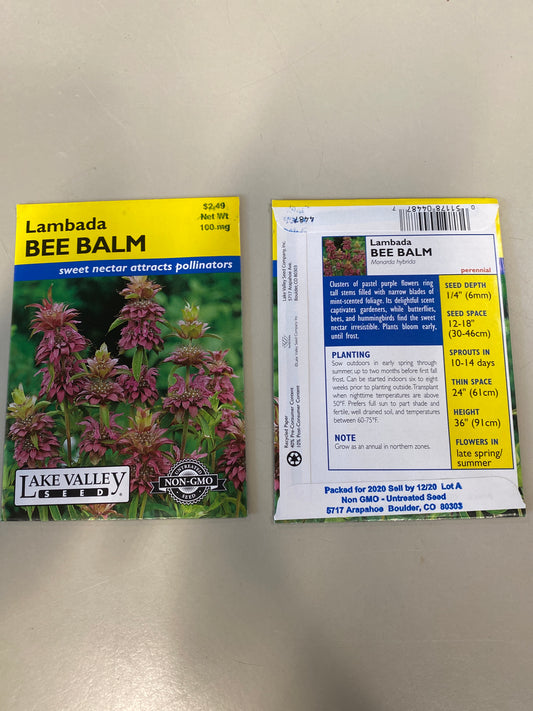 BEE BALM LAMBADA