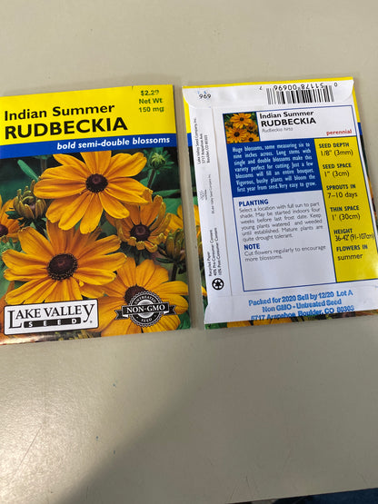 RUDBECKIA INDIAN SUMMER