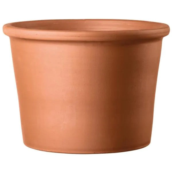 Short Rim Clay Pot