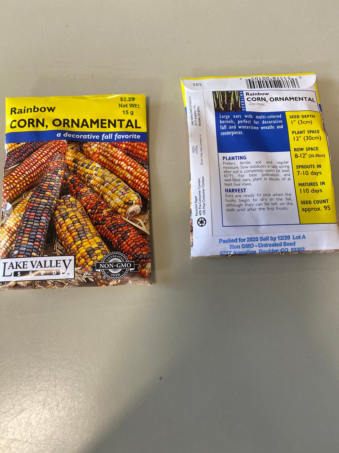 CORN ORNAMENTAL RAINBOW