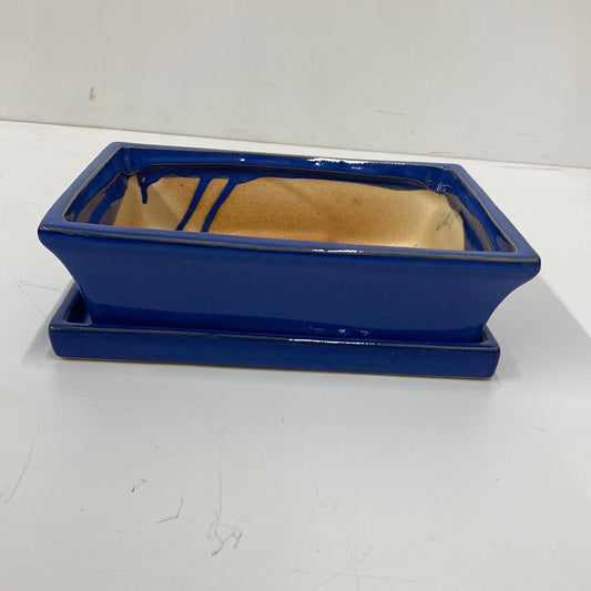 10" Bonsai Indoor Planter with Saucer Cobalt Blue