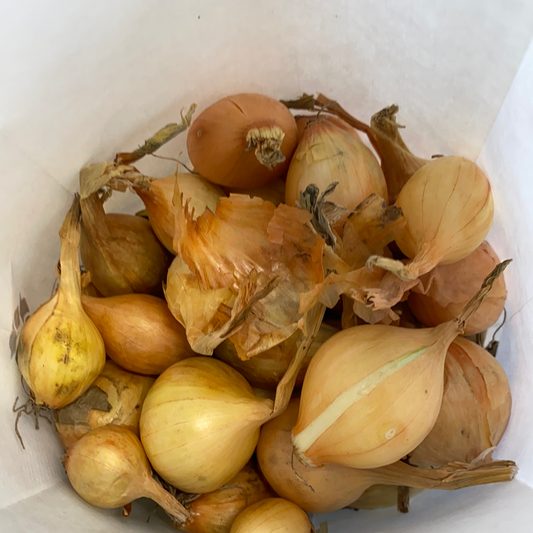 Onion Sets - Yellow - 1lb.