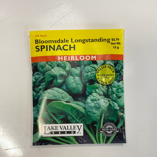 SPINACH BLOOMSDALE LONGSTANDING VP  HEIRLOOM