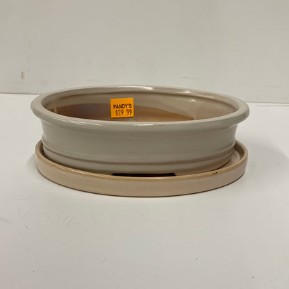 10" Bonsai Indoor Planter