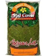 Sheet Moss Soil Cover