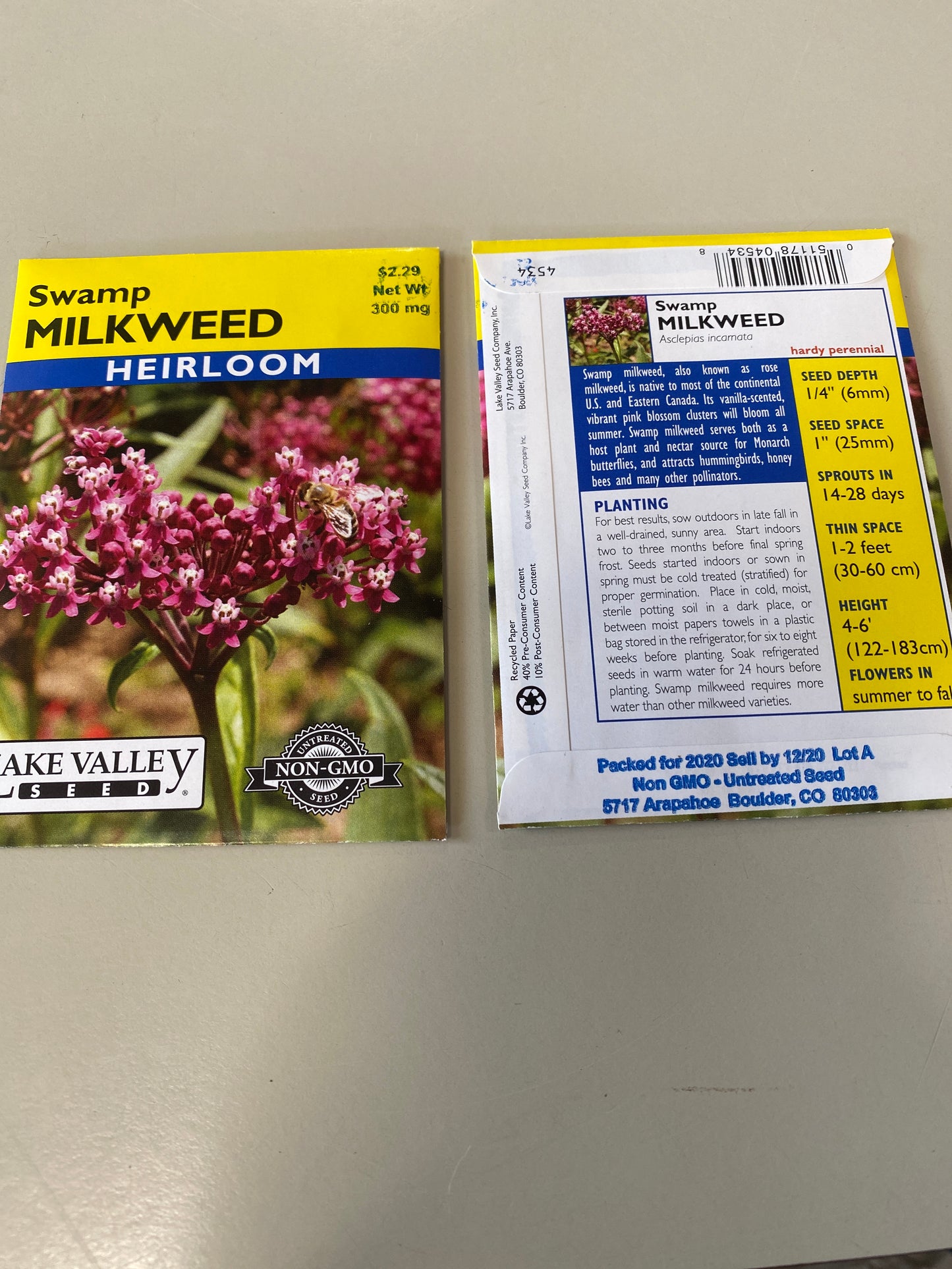 MILKWEED SWAMP