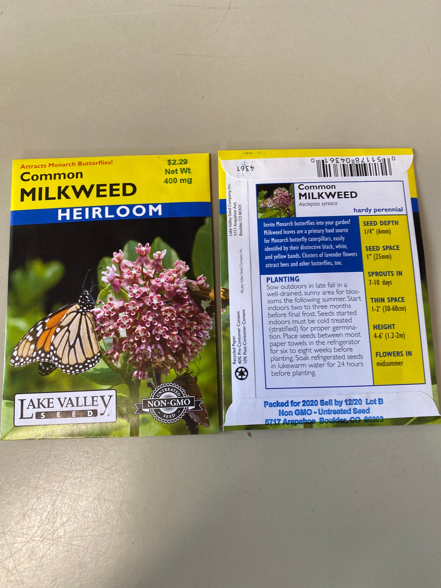 MILKWEED COMMON