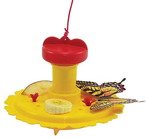 Butterfly Feeder / Nectar Combo