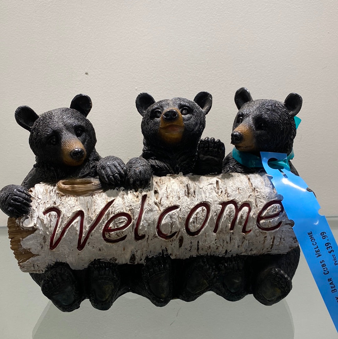 Black Bear Cubs Welcome