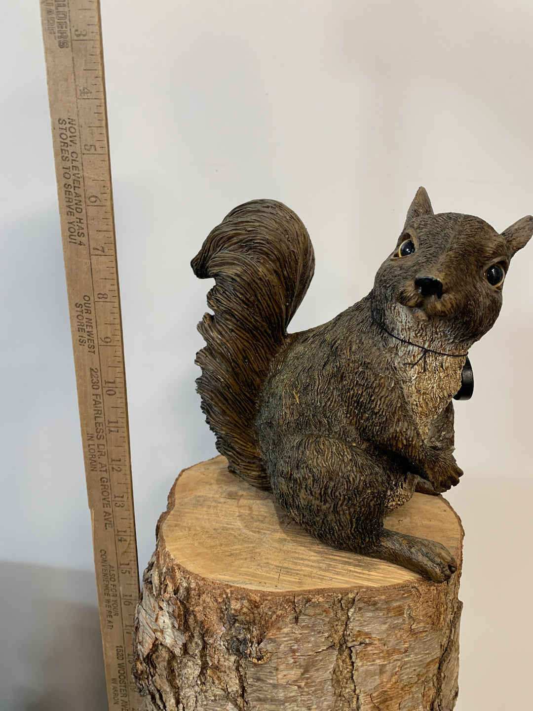 Squirrel- With An Acorn