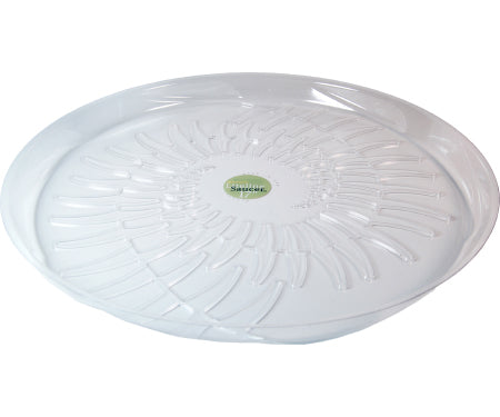 17" LiteLine Saucer Fern