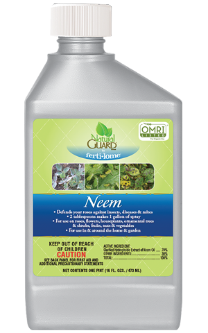 Neem