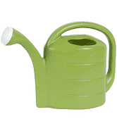 Novelty 2 Gallon Watering Can Green