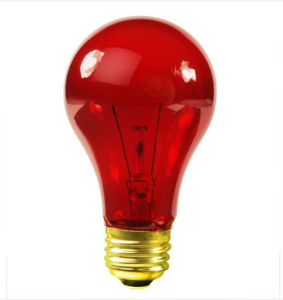 25 Watt Party Bulb Indoor/Outdoor