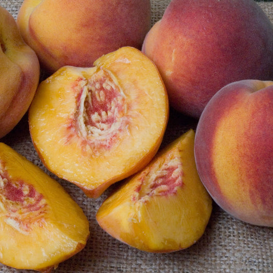 Peach - Red Haven Peach Semi Dwarf