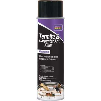 Termite & Carpenter Ant Killer