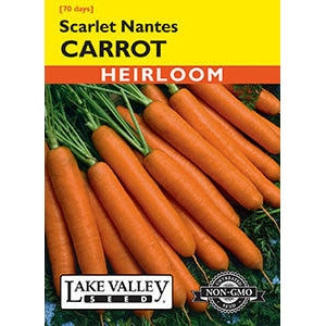 CARROT SCARLET NANTES  HEIRLOOM