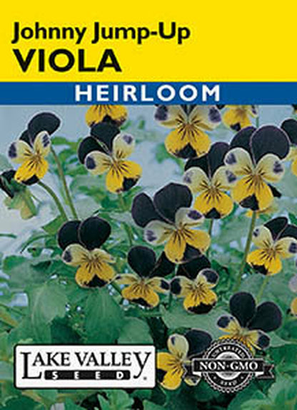 VIOLA JOHNNY JUMP-UP   HEIRLOOM