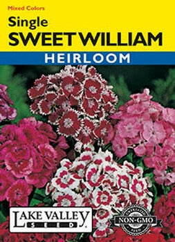 SWEET WILLIAM WEE WILLIE MIXED COLORS