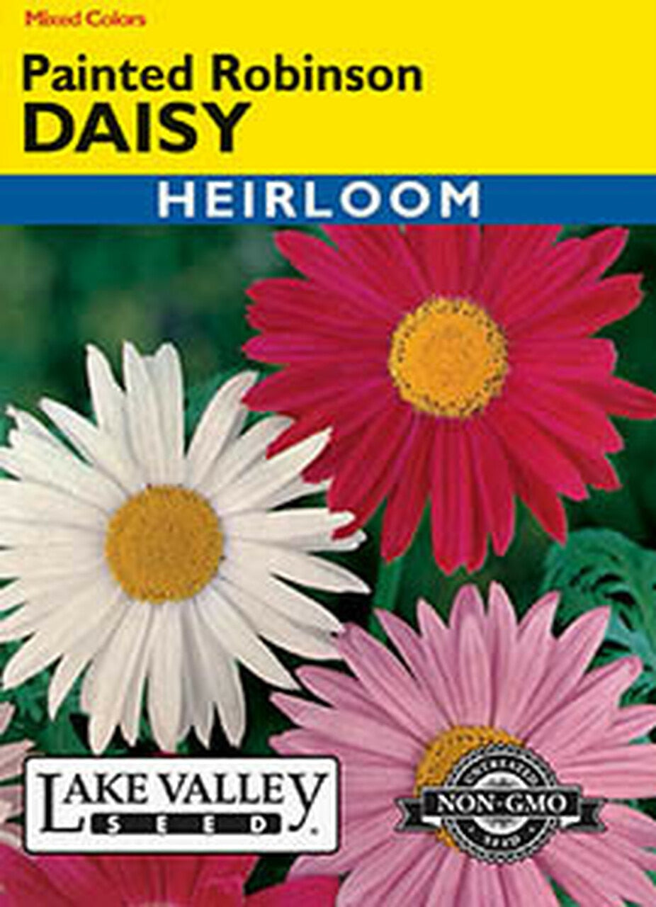 DAISY PAINTED ROBINSON MIXED COLORS  HEIRLOOM