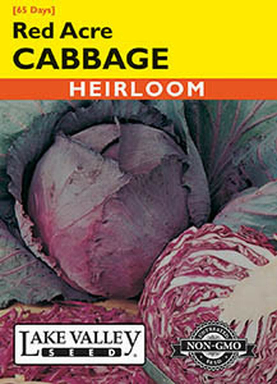 CABBAGE RED ACRE  HEIRLOOM